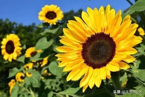 五音不全怎么办?