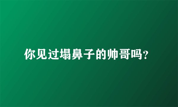 你见过塌鼻子的帅哥吗？