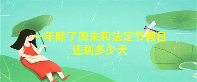 一年除了周末和法定节假日还剩多少天