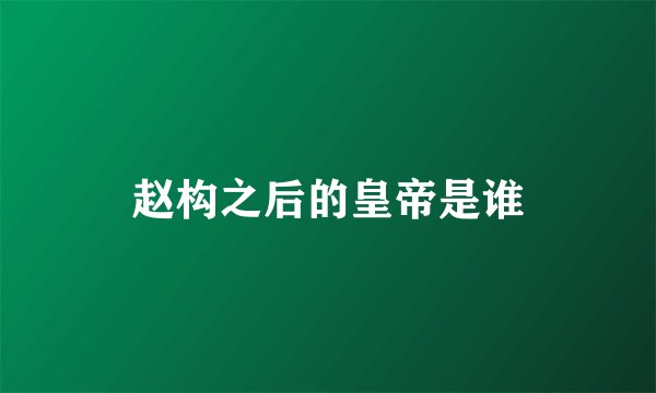 赵构之后的皇帝是谁
