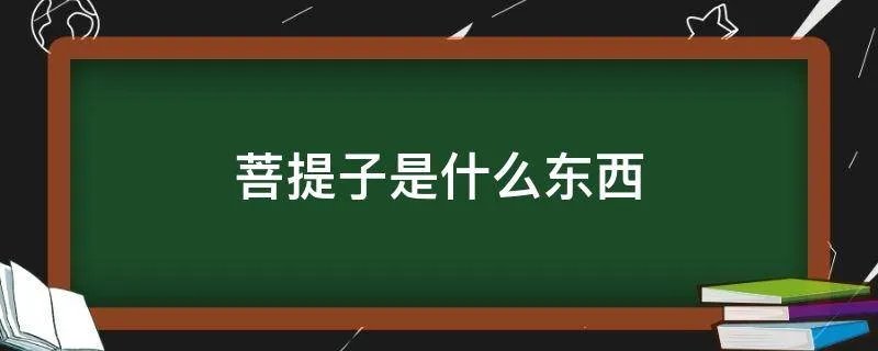 菩提子是什么东西