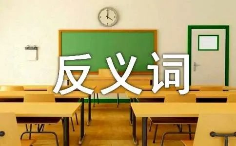 尊重的反义词
