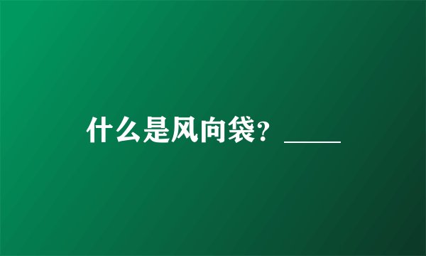 什么是风向袋？____