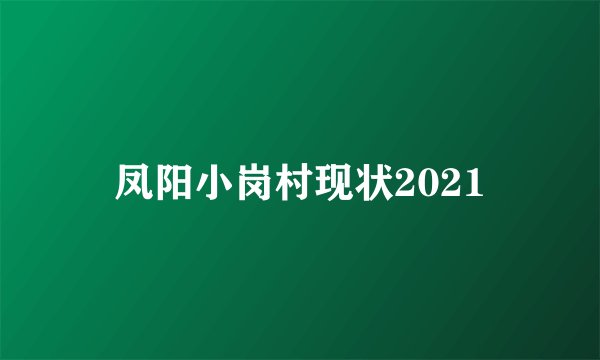 凤阳小岗村现状2021
