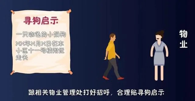 找狗的最好办法?
