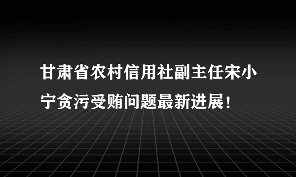 甘肃省农村信用社副主任宋小宁贪污受贿问题最新进展！