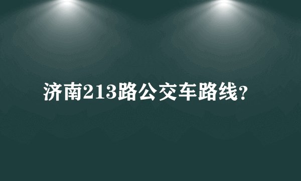 济南213路公交车路线？