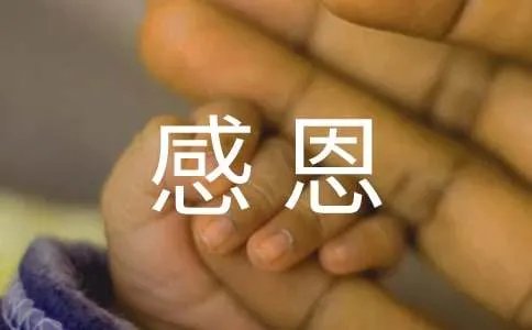 感恩话语