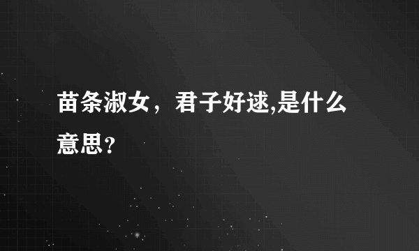苗条淑女，君子好逑,是什么意思？