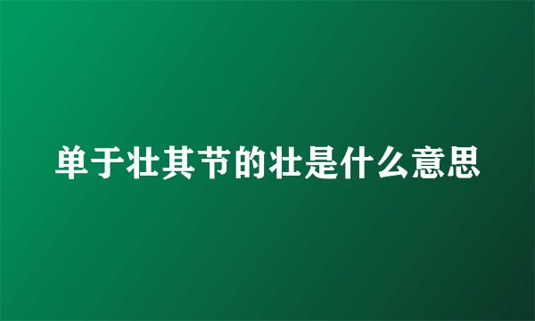 单于壮其节的壮是什么意思
