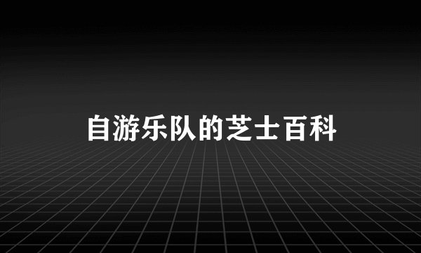 自游乐队的芝士百科