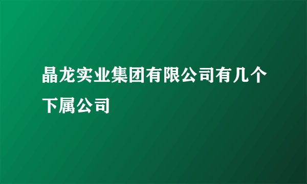 晶龙实业集团有限公司有几个下属公司