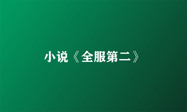 小说《全服第二》