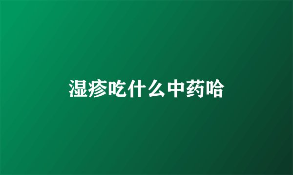 湿疹吃什么中药哈