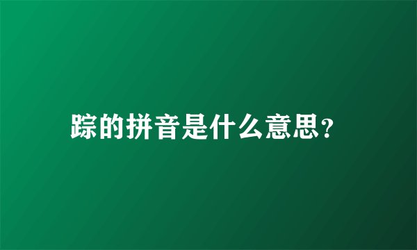 踪的拼音是什么意思？