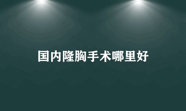 国内隆胸手术哪里好