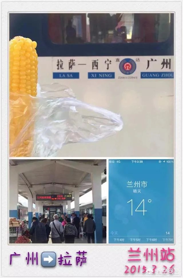最贵的火车票多少钱