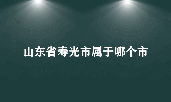 山东省寿光市属于哪个市