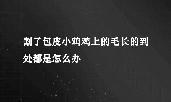 割了包皮小鸡鸡上的毛长的到处都是怎么办
