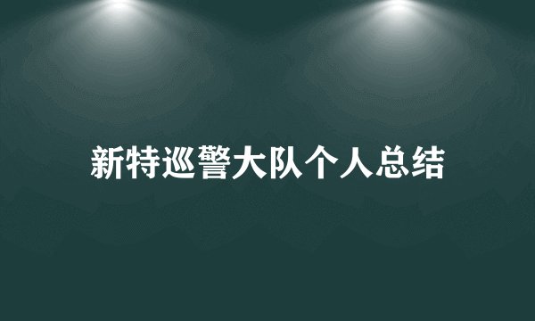 新特巡警大队个人总结
