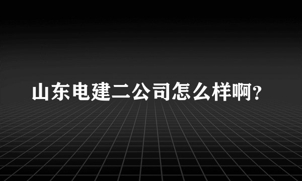 山东电建二公司怎么样啊？