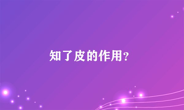 知了皮的作用？