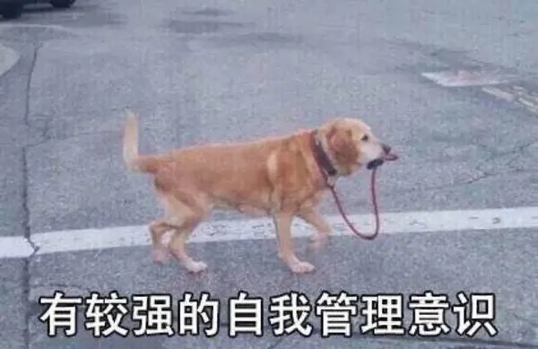 别去外面买!自己做料足又健康,小朋友也能放心吃!