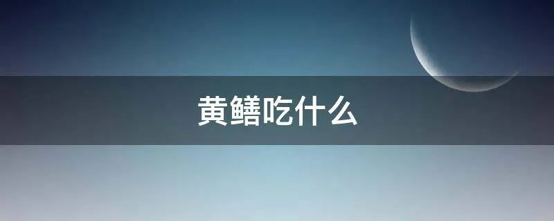 黄鳝吃什么