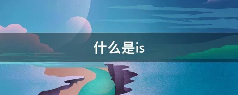 什么是is