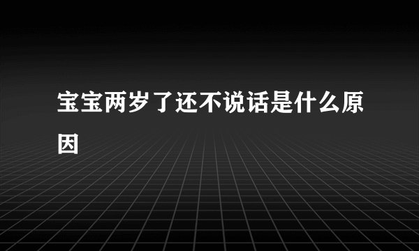 宝宝两岁了还不说话是什么原因