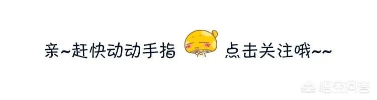 为什么现在这么多公寓出租?