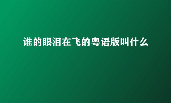 谁的眼泪在飞的粤语版叫什么