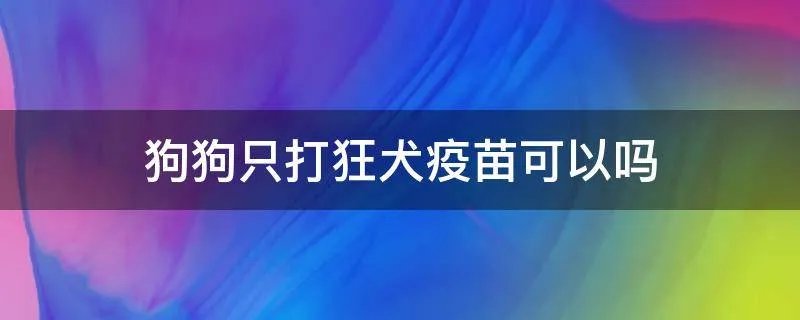 狗狗只打狂犬疫苗可以吗