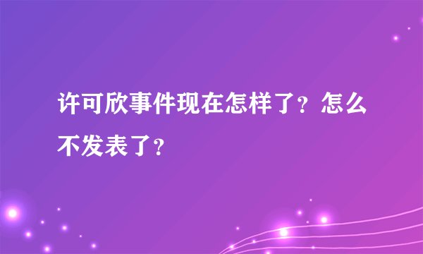 许可欣事件现在怎样了？怎么不发表了？