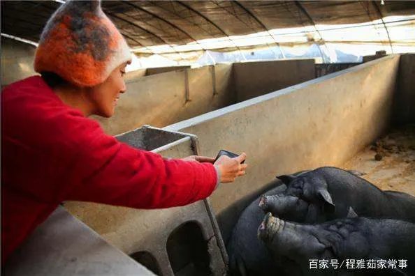 清华留美女学霸,不顾劝阻下乡当农民,后来怎样?