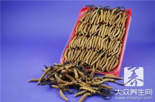 冬虫夏草这种名贵药材究竟该如何吃呢?