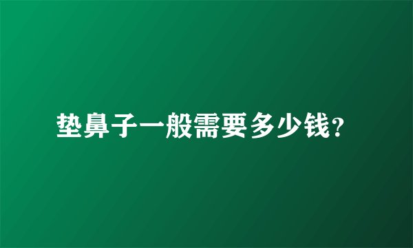 垫鼻子一般需要多少钱？