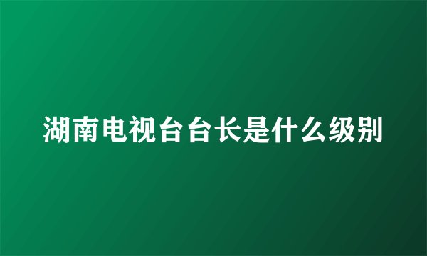 湖南电视台台长是什么级别