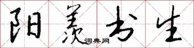 阳羡书生