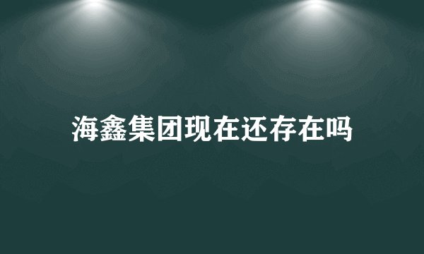 海鑫集团现在还存在吗