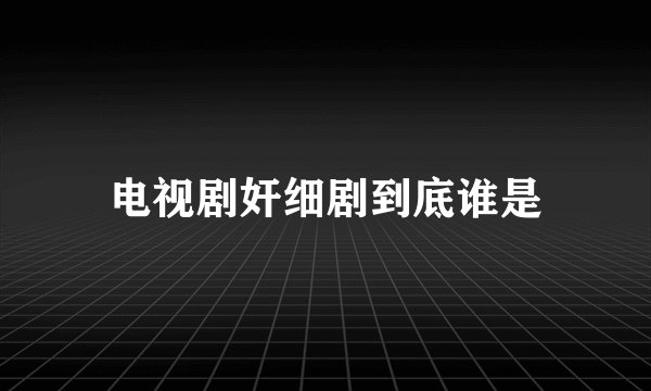 电视剧奸细剧到底谁是
