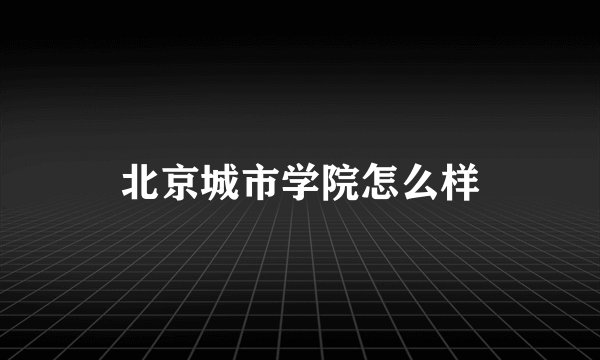 北京城市学院怎么样