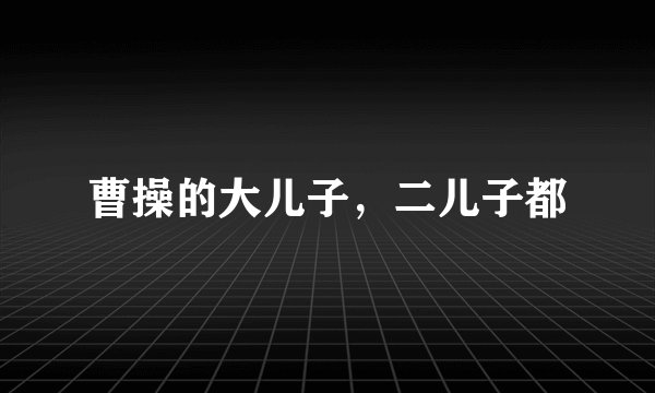 曹操的大儿子,二儿子都