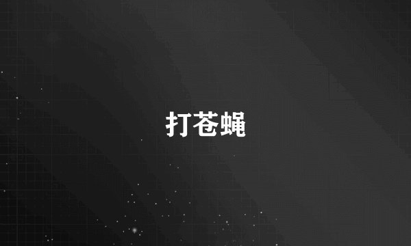 打苍蝇