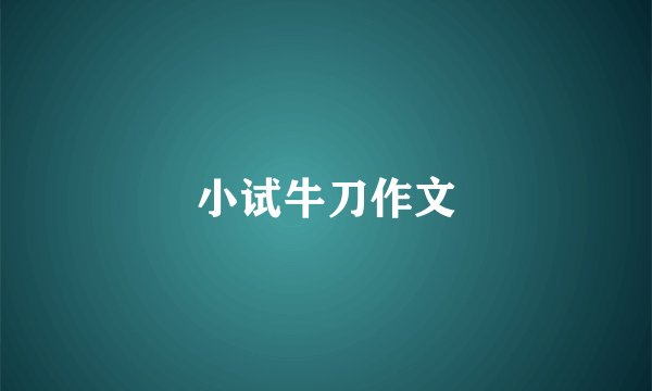 小试牛刀作文