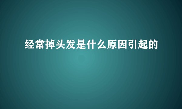 经常掉头发是什么原因引起的