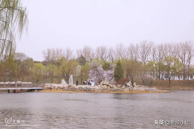 圆明园十大景点介绍?