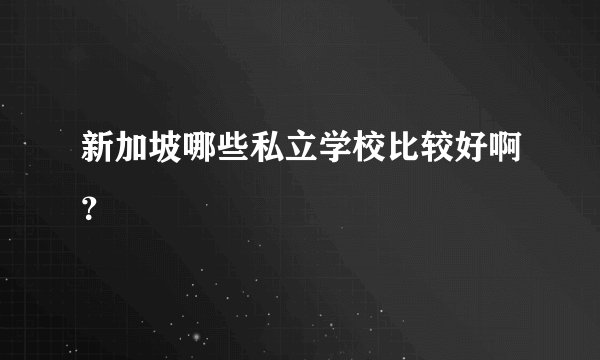 新加坡哪些私立学校比较好啊？