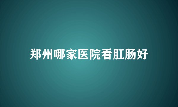郑州哪家医院看肛肠好