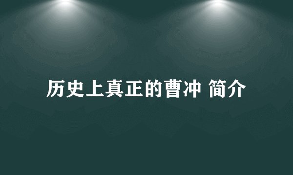 历史上真正的曹冲 简介